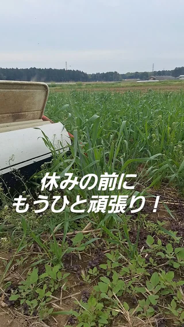 #日本農業実践学園 #農業 #新規就農 #茨城県 #農業学校 #水戸市