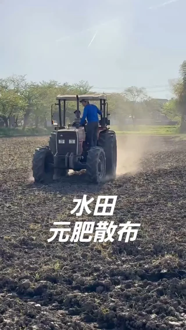 #日本農業実践学園 #農業 #新規就農 #茨城県 #農業学校 #水戸市 #稲作