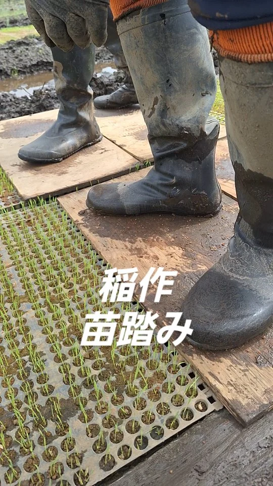 #日本農業実践学園 #農業 #新規就農 #茨城県 #農業学校 #水戸市