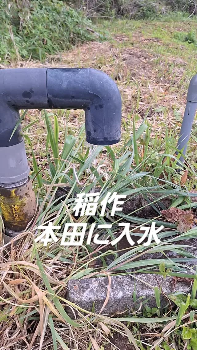 #日本農業実践学園 #農業 #新規就農 #茨城県 #農業学校 #水戸市