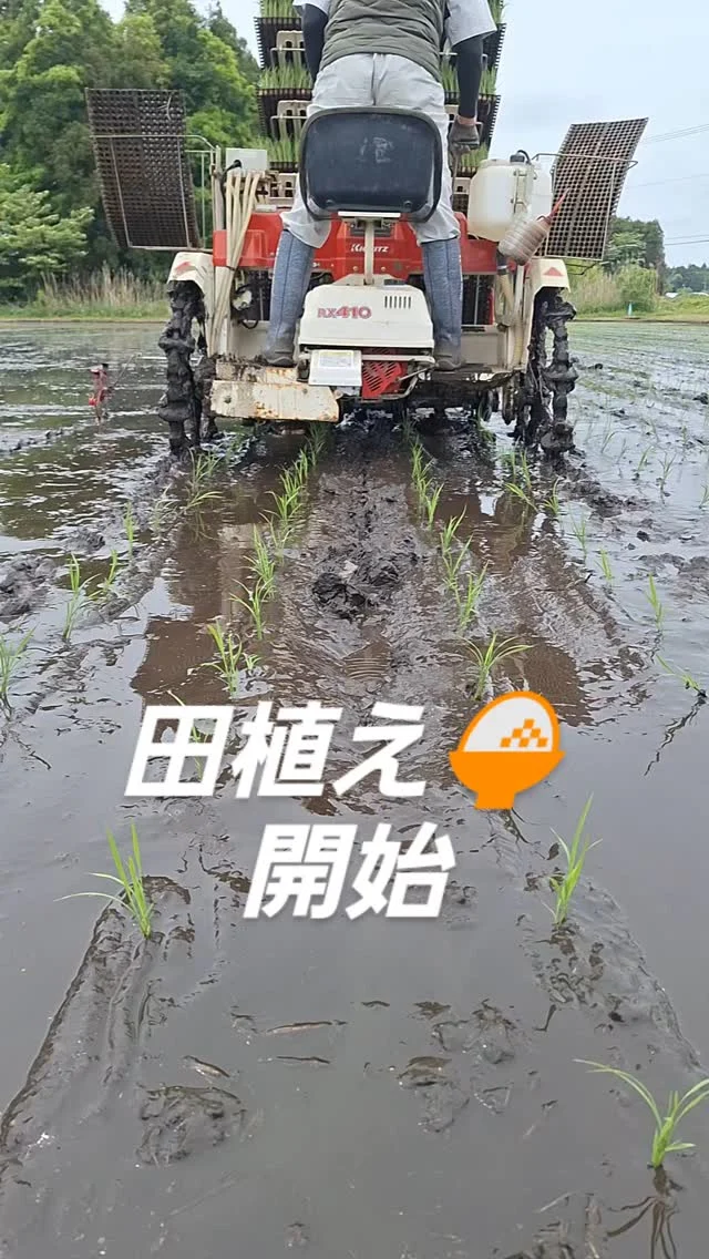 #日本農業実践学園 #農業 #新規就農 #茨城県 #農業学校 #水戸市