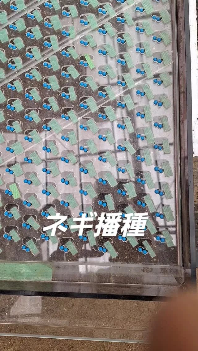 #日本農業実践学園 #農業 #新規就農 #茨城県 #農業学校 #水戸市