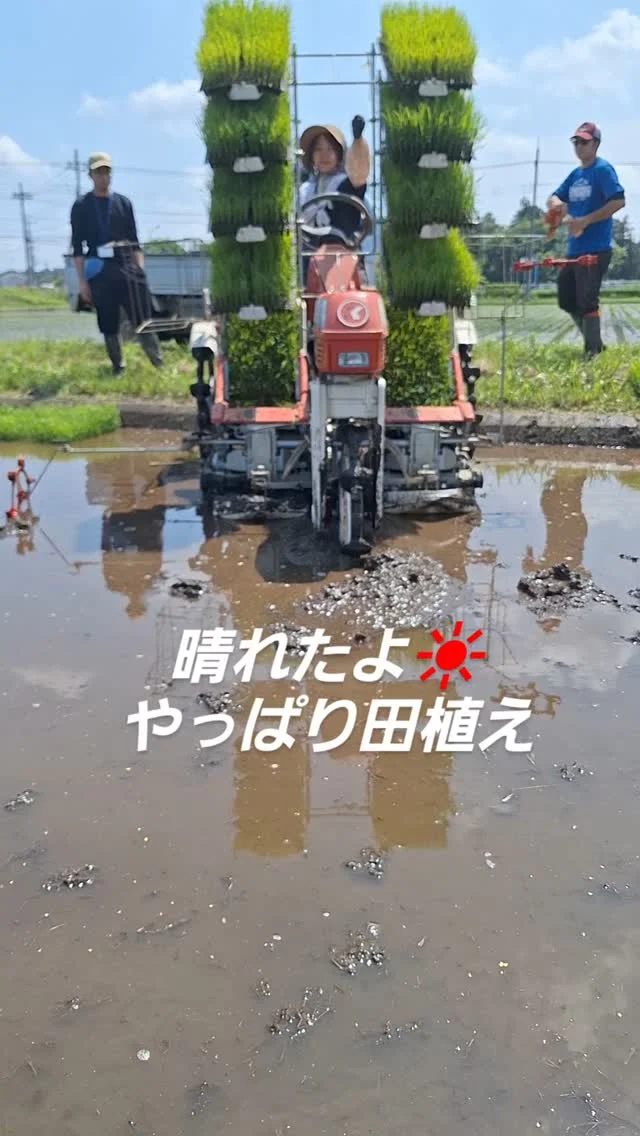 #日本農業実践学園 #農業 #新規就農 #茨城県 #農業学校 #水戸市