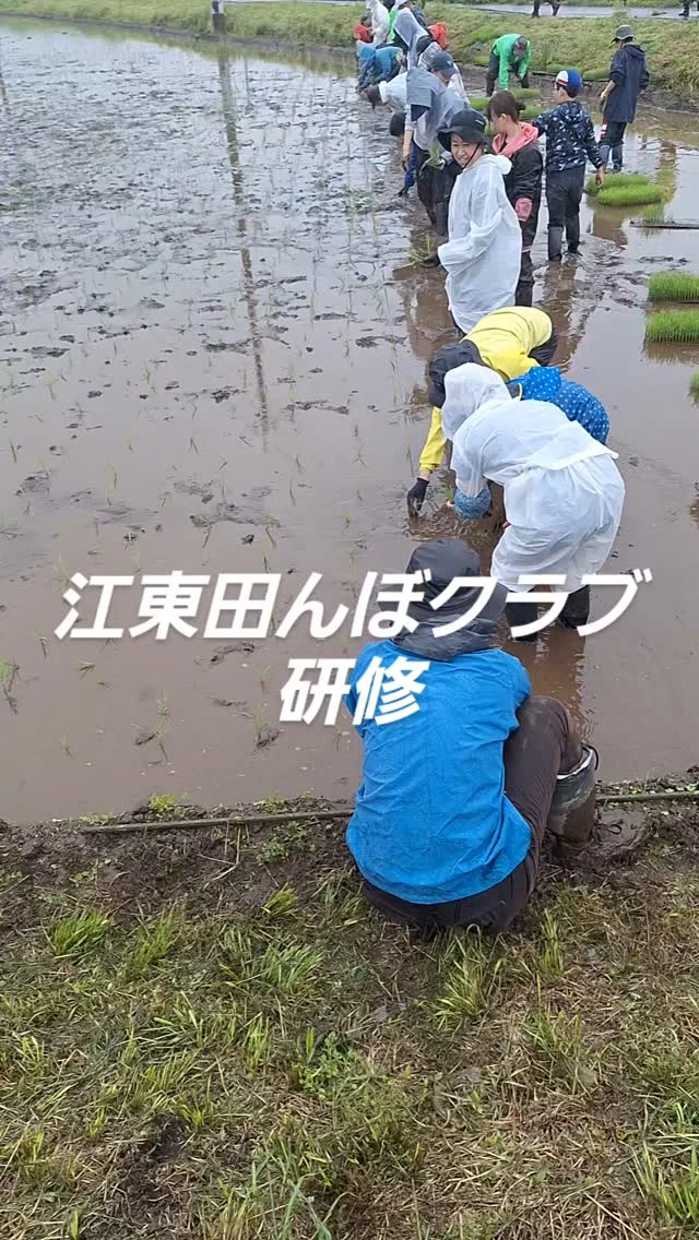 #日本農業実践学園 #農業 #新規就農 #茨城県 #農業学校 #江東田んぼクラブ