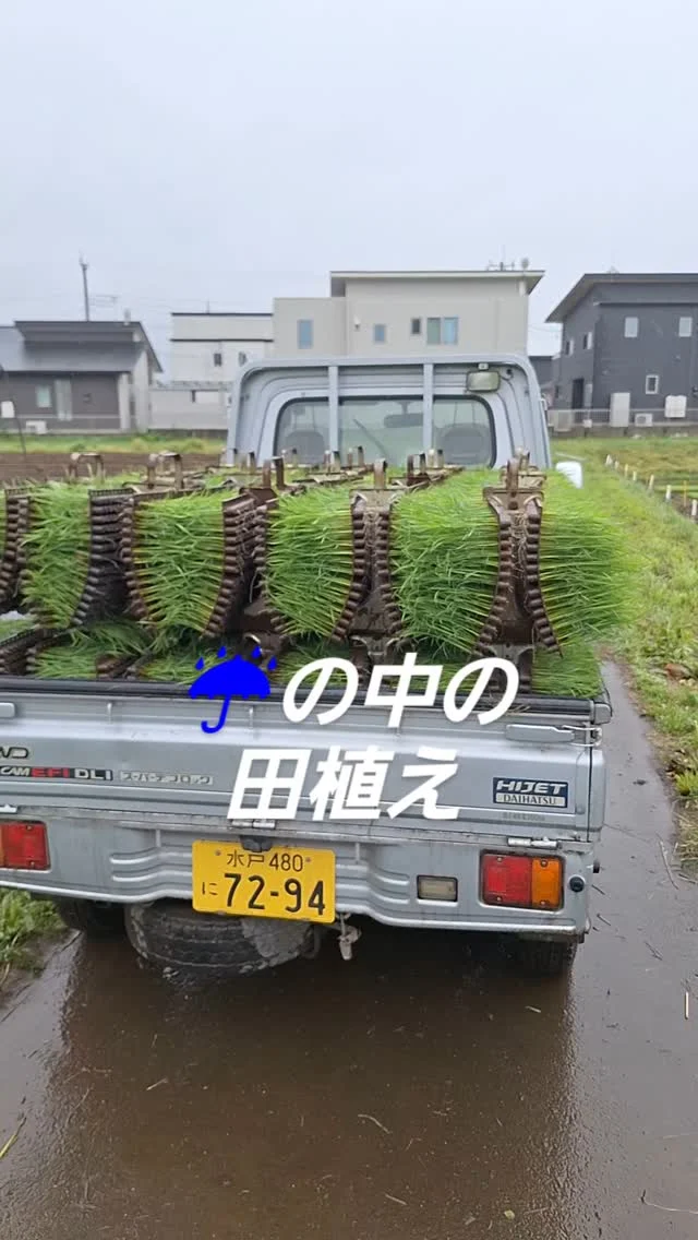 #日本農業実践学園 #農業 #新規就農 #茨城県 #農業学校 #水戸市 #稲作
