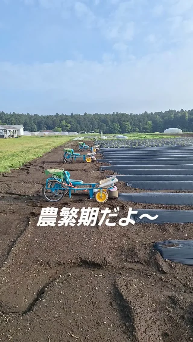 #日本農業実践学園 #農業 #新規就農 #茨城県 #農業学校 #水戸市