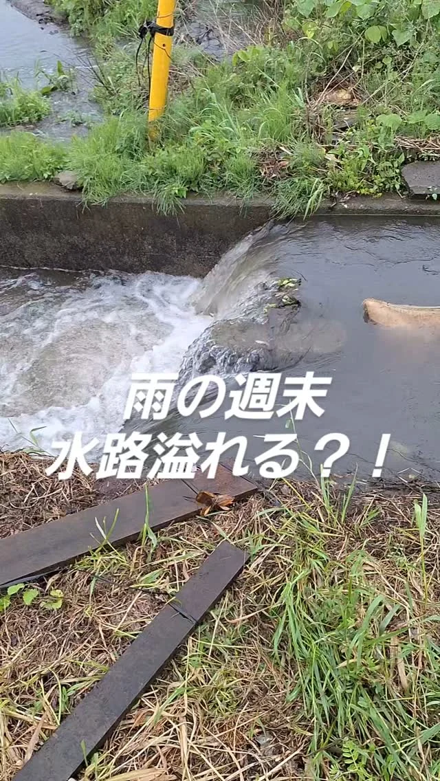 #日本農業実践学園 #農業 #新規就農 #茨城県 #農業学校 #宇宙まお #水戸ホーリーホック #杉浦文哉