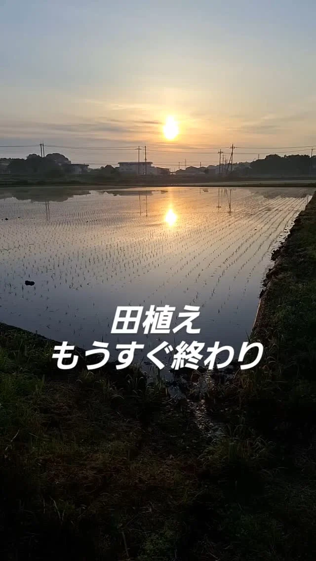 #日本農業実践学園 #農業 #新規就農 #茨城県 #農業学校 #水戸市